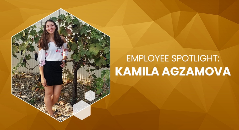 Whats New at ProMark Concepts